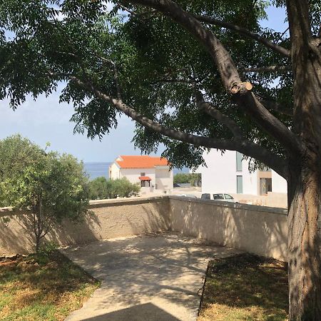 M A Apartments Kožino Zewnętrze zdjęcie